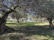 Episkopi bei Rethymno Kreta, Episkopi: Neubau-Projekt! Fabelhafte Villa mit Pool und Meerblick zu verkaufen Haus kaufen